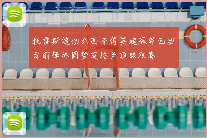 托雷斯随切尔西夺得英超冠军西班牙前锋终圆梦英格兰顶级联赛