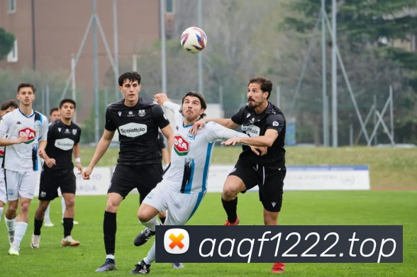 世界杯官网平台品牌故事