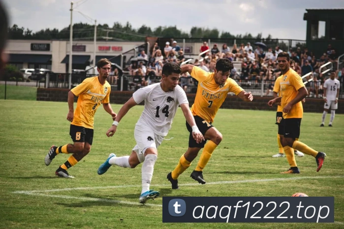 世界杯官网平台服务体系